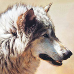 Фотография Nurkz